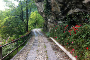 palestra_roccia